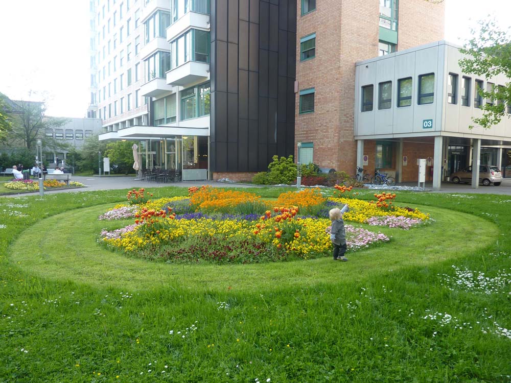 20100522_1756_zwischen_den_beeten_im_spitalinnenhof_P1030762