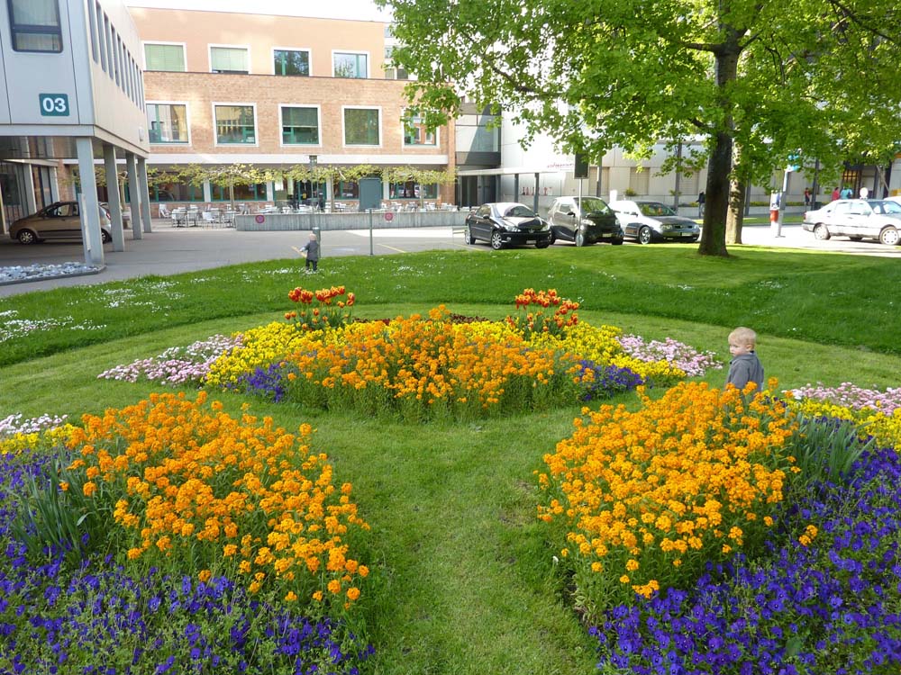 20100522_1808_jakob_zw_den_blumen_P1030774