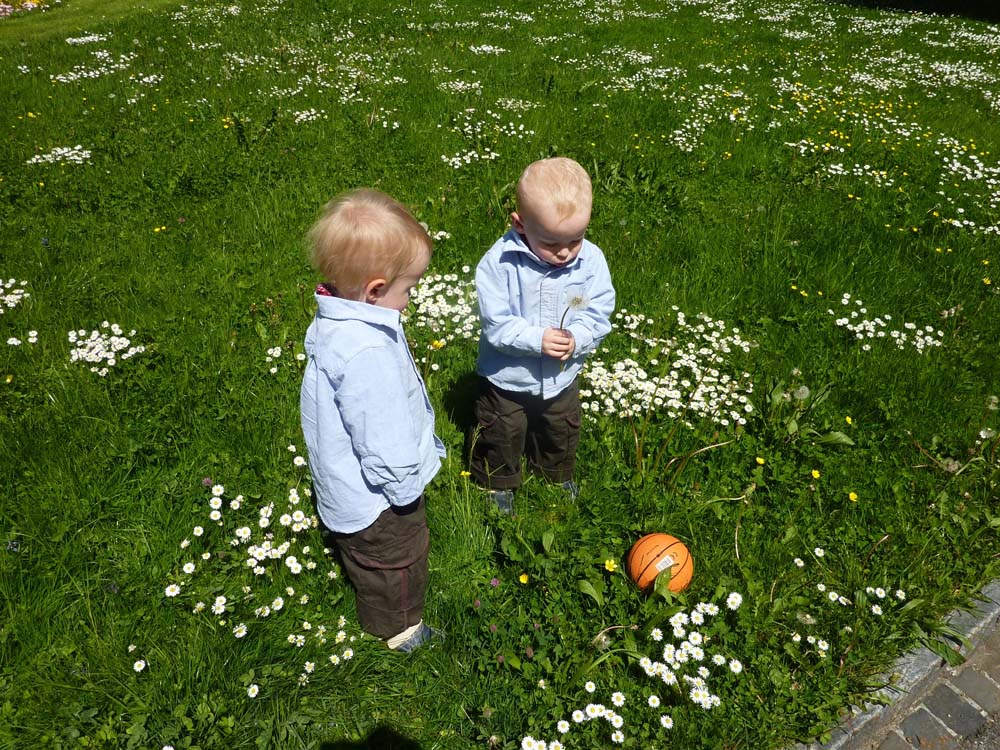 20100523_1453_jj_mit_ball_zw_gaensebluemchen_P1030812