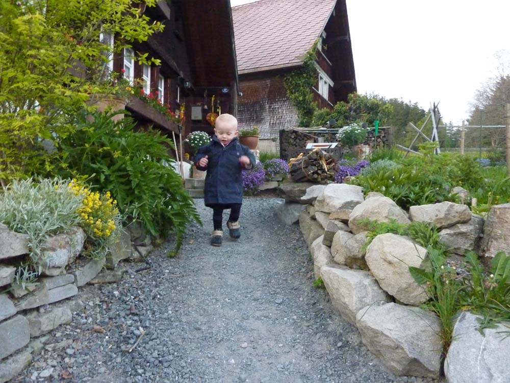 20100523_2056_jonas_im_vorderrgaertchen_von_brigitte_und_hansruedi_P1030841