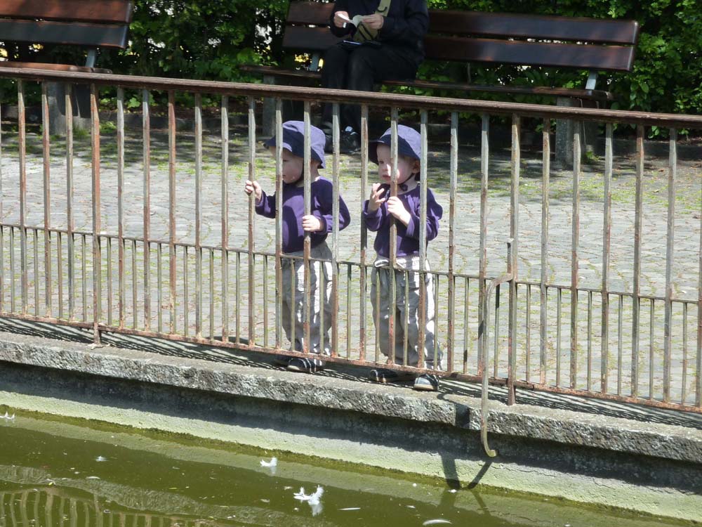 20100524_1457_jj_am_vogelteich_P1030865