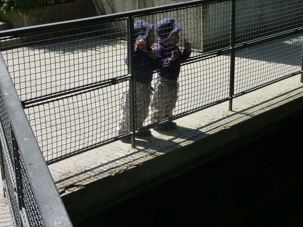 20100524_1458_jj_am_vogelteich_P1030867