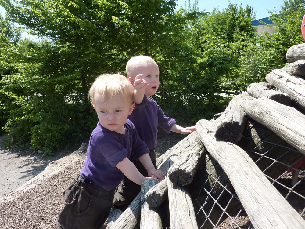 20100525_1216_im_zuercher_zoo_P1030878