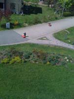 20100505_1208_die_kruemel_auf_der_dorfstrasse1