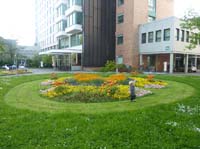 20100522_1756_zwischen_den_beeten_im_spitalinnenhof_P1030762