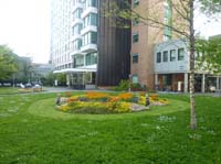 20100522_1757_zwischen_den_beeten_im_spitalinnenhof_P1030766