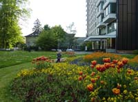 20100522_1807_jonas_zwischen_den_beeten_im_spitalinnenhof_P1030768