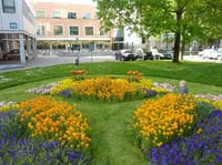 20100522_1808_jakob_zw_den_blumen_P1030774