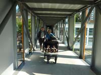 20100523_1727_rosmarie_schiebt_den_wagen_P1030813