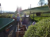 20100523_1942_jj_beim_wasserspielen_P1030823