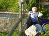 20100523_1945_jakob_am_brunnen_P1030829