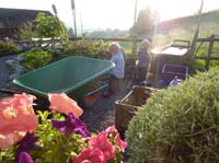 20100523_1955_jj_beim_wasserspielen_P1030832