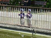 20100524_1457_jj_am_vogelteich_P1030865